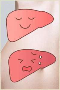 おなかの専門