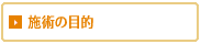 {p̖ړI