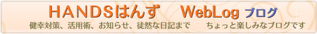 HANDSはんずウェブログ 健康対策 活用術